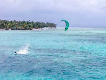 Blick auf das Revier